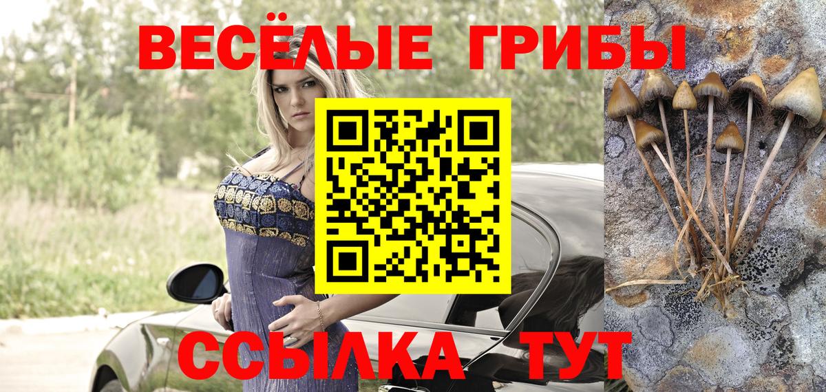 Псилоцибиновые грибы мухоморы Кириши
