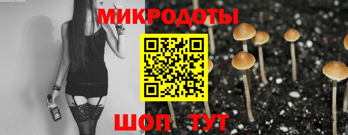 Псилоцибиновые грибы ЛСД  Вход с VPN  Кириши  Псилоцибиновые грибы ЛСД 